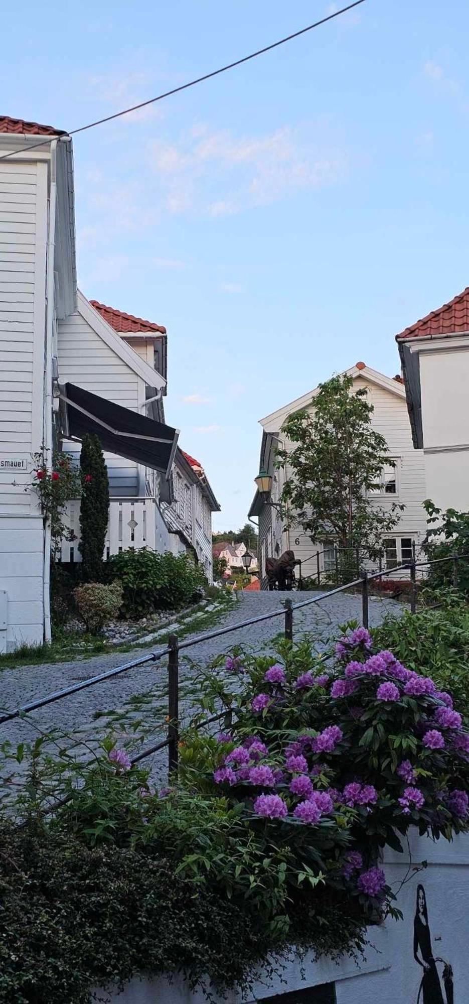 Leilighet Dreggsalmenning 20 Bergen